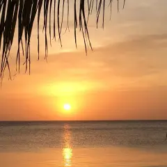 Solnedgång över en sandig vikstrand, med palmblad som ramar in himlen i varma färger.
