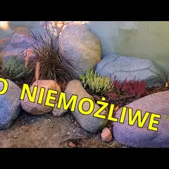 Jak zrobić kamień ze styropianu - łatwy sposób na efektowną dekorację
