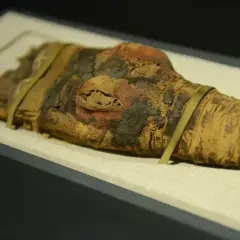 Muzeum sztuk użytkowych w Poznaniu: historia, zbiory i atrakcje