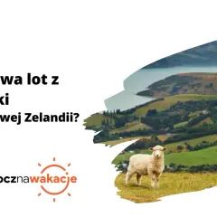 Ile się leci do Nowej Zelandii? Owca na tle zielonych wzgórz i zatoki.