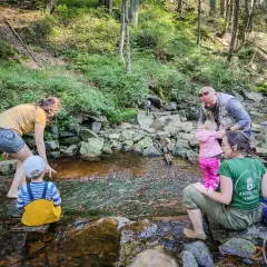 Rodzina z dziećmi w lesie, przy strumieniu. Dziecko w żółtym ogrodniczkach siedzi na kamieniu.