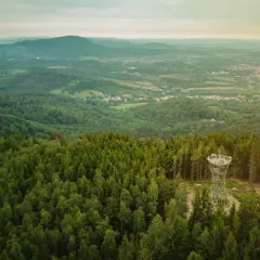 Wieża widokowa na górze borowej pośród gęstego lasu, z widokiem na dolinę i miasto w oddali.
