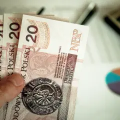 Dłoń trzyma banknoty dwudziestozłotowe. Obok leży kalkulator i wykres kołowy, sugerując rozważania o tym, czy to brutto czy netto na rękę.
