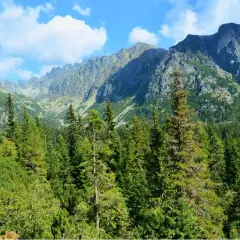 Tatry z Krakowa: Jak i kiedy zobaczyć majestat gór?