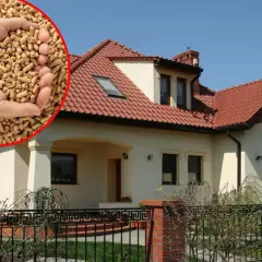 Dwie dłonie trzymają pellet, ekologiczne paliwo, idealne do tego, czym ogrzewać dom.