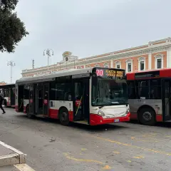 Autobusy komunikacji miejskiej w Bari czekają na pasażerów. Jeden z nich jedzie do Piazza Moro.
