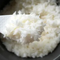 Fluffy white rice being scooped from a rice cooker. Perfect for learning how to pack rice for lunch.