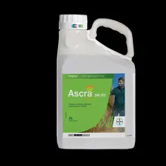 Opakowanie fungicydu Ascra Xpro 260 EC, zawierającego fluopyram, do ochrony zbóż.