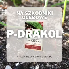 P-Drakol - mikrobiologiczny preparat doglebowy na pędraki i nicienie. Chroni trawnik i stymuluje rozwój korzeni.