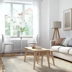 Ein helles Wohnzimmer mit Sofa, Couchtisch, Bücherregal und Pflanzen. Kunstwerke zieren die Wand, während durch das Fenster Tageslicht einfällt.