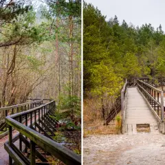Góry Świętokrzyskie: TOP atrakcje, szlaki, zamki i parki dla rodzin