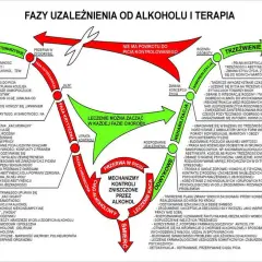 Jak przestać pić piwo i odzyskać zdrowie oraz radość życia