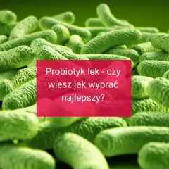 Probiotyk lek - czy wiesz jak wybrać najlepszy? Obraz przedstawia bakterie probiotyczne.