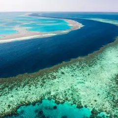 Widok z lotu ptaka na wielką rafę koralową, z turkusowymi lagunami i głębokim, granatowym oceanem.