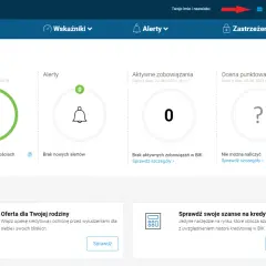 Panel BIK: brak opóźnień, alertów i zobowiązań. Sprawdź, jak wygląda raport BIK.