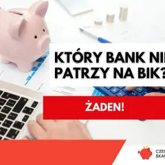 Kredyt bez historii kredytowej? Żaden bank nie patrzy na BIK, bo to niemożliwe. Świnka skarbonka i laptop sugerują finansowe rozterki.
