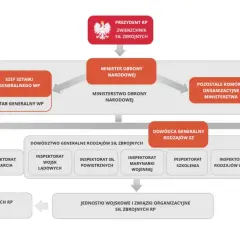 Schemat struktury Ministerstwa Obrony Narodowej, gdzie dowódca generalny rodzajów sił zbrojnych podlega Ministrowi Obrony Narodowej.