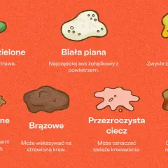 Niestrawione jedzenie w psich wymiocinach może oznaczać problemy z trawieniem.
