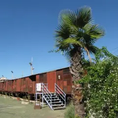 Treni arrugginiti e una palma nel parco letterario Salvatore Quasimodo, un luogo dove la storia incontra la poesia.