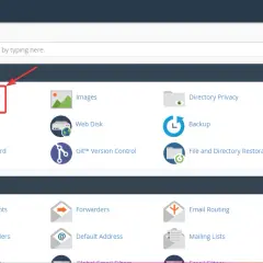 Jak przenieść stronę WordPress na inną domenę bez utraty danych?