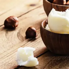Was ist Shea Butter? Cremige, weiße Shea Butter in Holzschalen, dane Nüsse. Natürliche Pflege für die Haut.