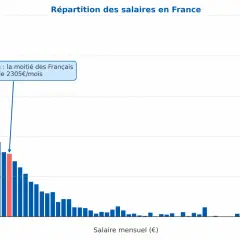 Histogramme montrant la répartition des salaires en France. Le salaire moyen est de 2305€/mois.
