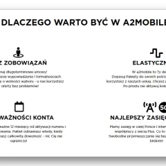 Rok ważności konta plus za 29 zł. Twoje konto ważne 12 miesięcy od doładowania. Elastyczność i brak zobowiązań w a2mobile.