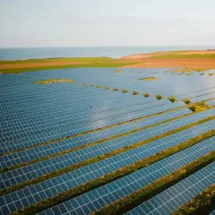 Vasta distesa di pannelli solari su un prato, con il mare all'orizzonte. La loro durata è un investimento a lungo termine per l'energia pulita.