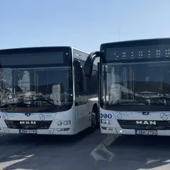Två vita bussar står redo vid Skiathos flygplats för att transportera resenärer.