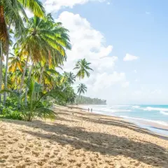 Puerto Plata: Odkryj najlepsze atrakcje i zaplanuj idealne wakacje