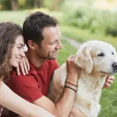 Un couple câlinant leur chien doré en plein air. Ils semblent réfléchir à comment faire garder son chien pour leurs prochaines vacances.