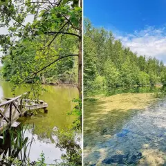 Idyllische Seenlandschaft mit Holzsteg am ASV Bensberg. Grüne Ufer und klares Wasser laden zum Verweilen ein.