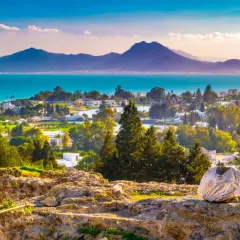 Tunis, afrykańska stolica nad Morzem Śródziemnym, rozciąga się od starożytnych ruin po białe domy, z górami w tle.