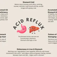 Diagram illustrating causes and symptoms of acid reflux in dogs, including stomach cold, spleen/stomach deficiency, and improper diet.