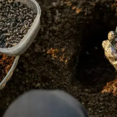 Ręce w rękawiczkach dodają do ziemi granulowane nawozy naturalne, przygotowując glebę do sadzenia.