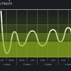 Schlafrhythmus: Tiefschlaf, Leichtschlaf, REM-Phase. 6 Stunden Schlaf pro Nacht sind oft nicht ausreichend für optimale Erholung.