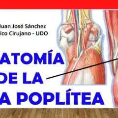 Todo sobre el músculo poplíteo: anatomía, función y lesiones comunes