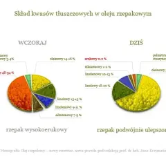 Czy olej rzepakowy to olej roślinny? Odkryj jego zdrowotne właściwości