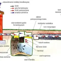 Schemat pokazuje, jak działa przydomowa oczyszczalnia ścieków: dopływ, sedymentacja, fermentacja, rozsączanie i odpowietrzenie.