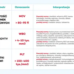 Tabela parametrów krwi: MCV (objętość krwinek czerwonych), WBC (leukocyty), PLT (płytki krwi) z normami i interpretacją.