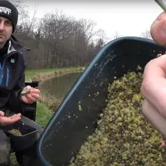 Morwa na ryby: Tajna broń wędkarza? Jak łowić skutecznie.