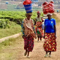 Czy w Rwandzie jest bezpiecznie? Odkryj niebezpieczeństwa i wskazówki