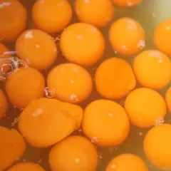 Viele leuchtend orange Eigelbe schwimmen in einer Flüssigkeit. Sie sind ein natürlicher Lieferant von Nährstoffen, aber auch von wachteleier cholesterin.