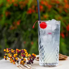Gin Collins: La Ricetta Perfetta e i Segreti per un Drink da Bar