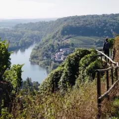 Wanderer auf einem Pfad mit Blick auf ein Dorf und einen Fluss, umgeben von Weinbergen. Ein schöner Ort zum Wandern, Ludwigsburg.
