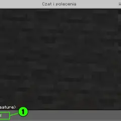Ekran czatu w Minecraft, pokazujący jak wpisywać komendy w Minecraft. Widoczna lista struktur do zlokalizowania, np. "shipwreck", "stronghold".