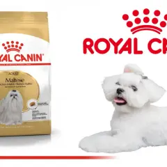 Royal Canin: Czy warto? Obiektywna analiza składu i alternatyw