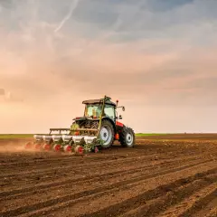 Traktor sieje rzepak na polu. Wschodzące słońce maluje niebo na pomarańczowo, tworząc malowniczy krajobraz.