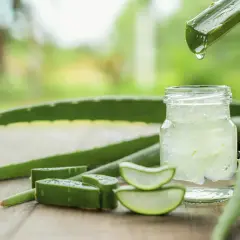 Frisches Aloe Vera Gel tropft aus einem Blatt in ein Glas. Ideal für die Hautpflege.