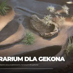 Rośliny do terrarium gekona orzęsionego: Co wybrać, czego unikać?